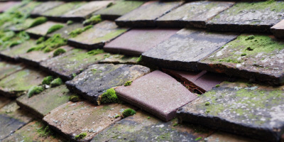 Monmouth roof repair costs